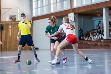 Bild 76 - F HSG Kremperheide/Muensterdorf - Slesvig IF 2 : Ergebnis: 30:26